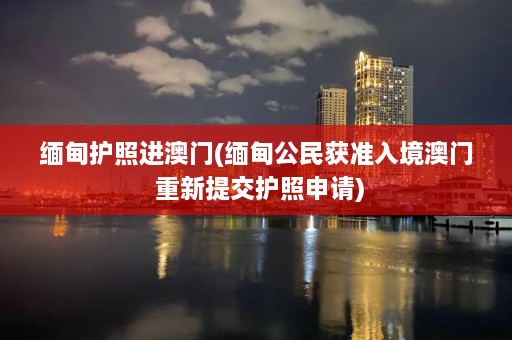  *** 护照进 *** ( *** 公民获准入境 ***  重新提交护照申请)  第1张