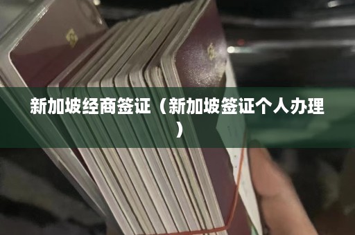 新加坡经商签证（新加坡签证个人办理）  第1张