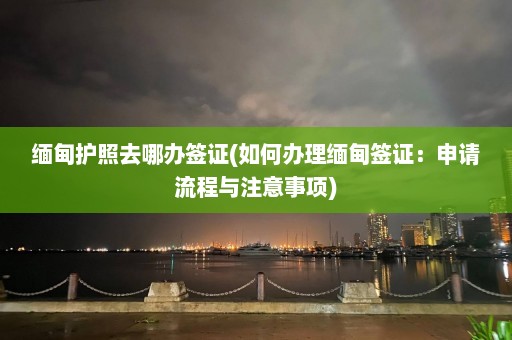 缅甸护照去哪办签证(如何办理缅甸签证：申请流程与注意事项)