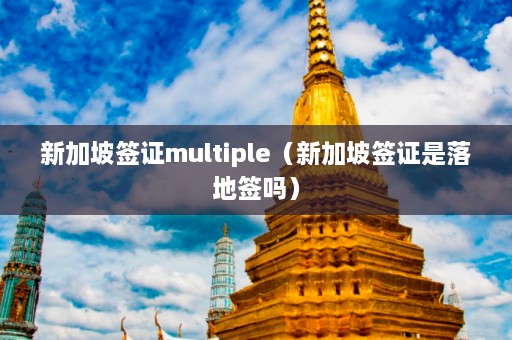 新加坡签证multiple（新加坡签证是落地签吗）  第1张