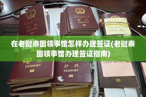 在老挝泰国领事馆怎样办理签证(老挝泰国领事馆办理签证指南)  第1张