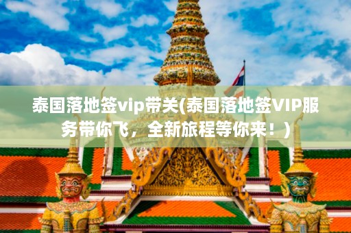 泰国落地签vip带关(泰国落地签VIP服务带你飞，全新旅程等你来！)  第1张