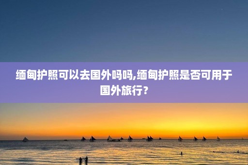 缅甸护照可以去国外吗吗,缅甸护照是否可用于国外旅行？