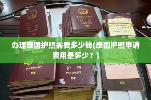 办理泰国护照需要多少钱(泰国护照申请费用是多少？)  第1张