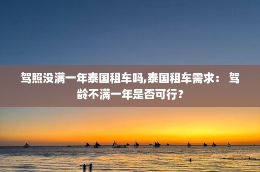 驾照没满一年泰国租车吗,泰国租车需求： 驾龄不满一年是否可行？