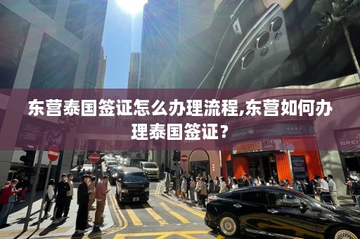 东营泰国签证怎么办理流程,东营如何办理泰国签证？