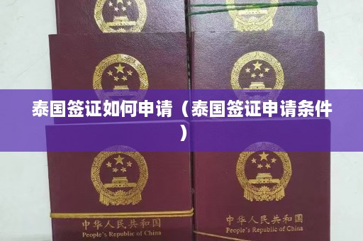 泰国签证如何申请（泰国签证申请条件）