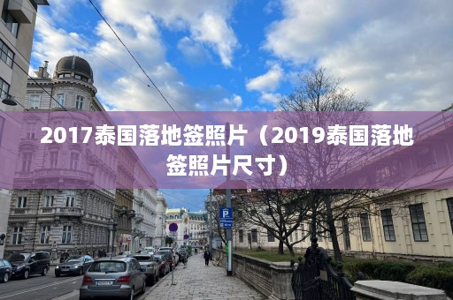 2017泰国落地签照片（2019泰国落地签照片尺寸）  第1张