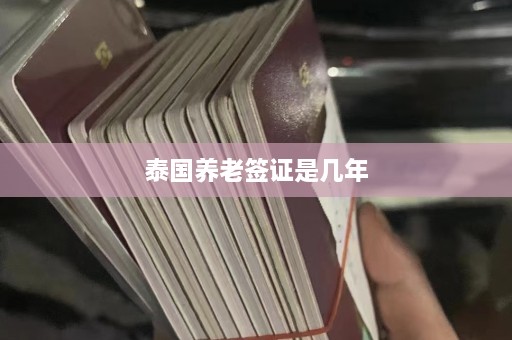 泰国养老签证是几年  第1张