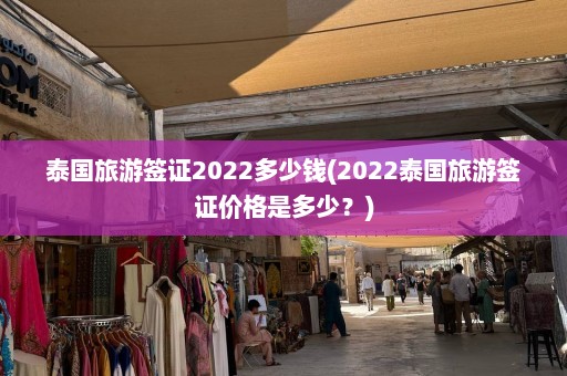 泰国旅游签证2022多少钱(2022泰国旅游签证价格是多少？)