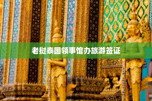 老挝泰国领事馆办旅游签证