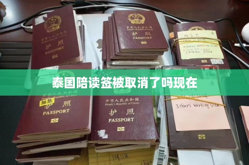 泰国陪读签被取消了吗现在  第1张