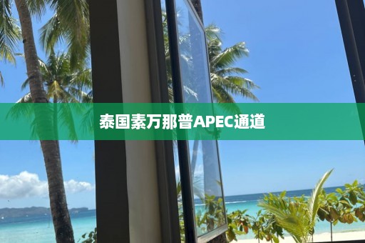 泰国素万那普APEC通道