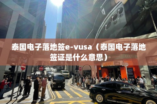 泰国电子落地签e-vusa（泰国电子落地签证是什么意思）  第1张