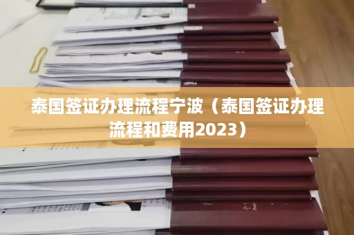 泰国签证办理流程宁波（泰国签证办理流程和费用2023）