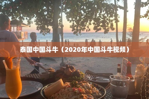 泰国中国斗牛（2020年中国斗牛视频）