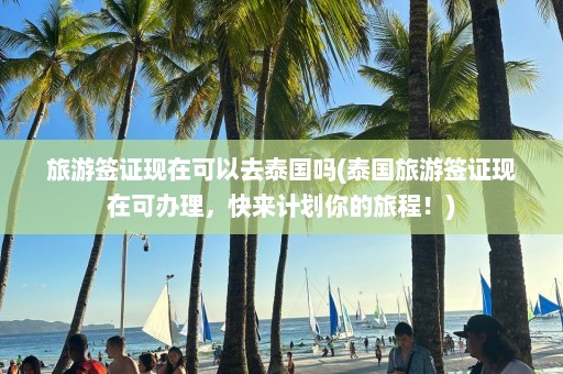 旅游签证现在可以去泰国吗(泰国旅游签证现在可办理，快来计划你的旅程！)