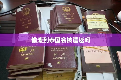  *** 到泰国会被遣返吗  第1张