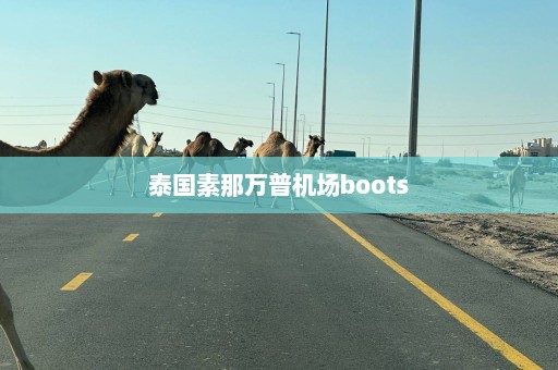 泰国素那万普机场boots