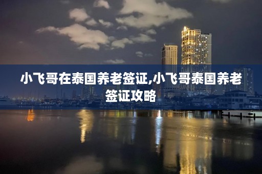 小飞哥在泰国养老签证,小飞哥泰国养老签证攻略  第1张