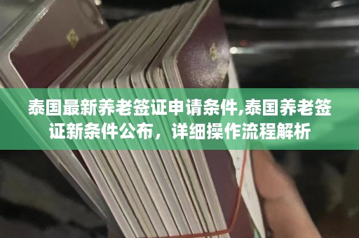 泰国最新养老签证申请条件,泰国养老签证新条件公布，详细操作流程解析  第1张