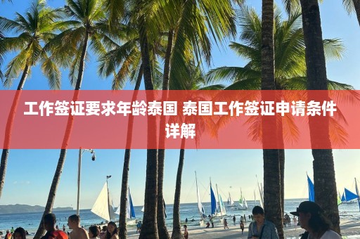 工作签证要求年龄泰国 泰国工作签证申请条件详解