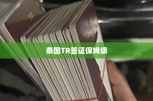 泰国TR签证保姆级