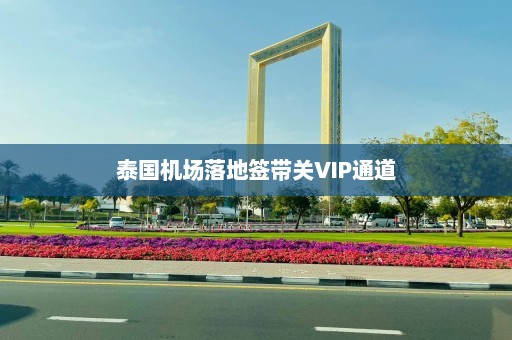 泰国机场落地签带关VIP通道