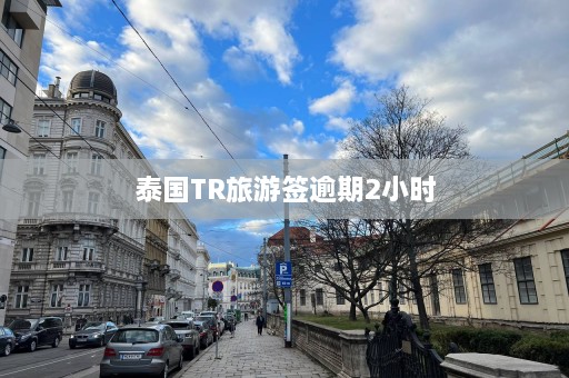 泰国TR旅游签逾期2小时  第1张