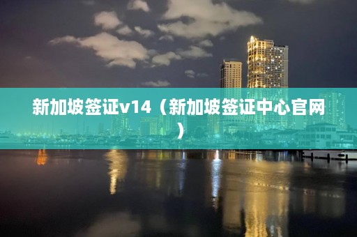 新加坡签证v14（新加坡签证中心官网）  第1张