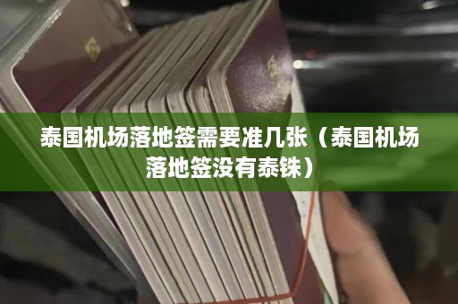 泰国机场落地签需要准几张（泰国机场落地签没有泰铢）  第1张