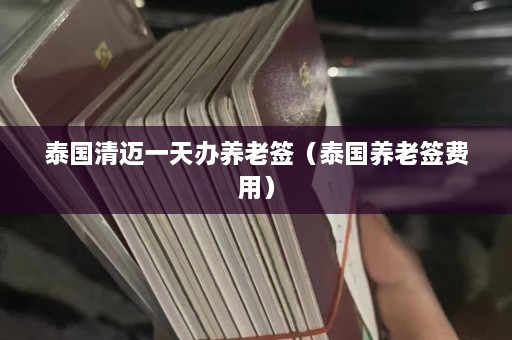 泰国清迈一天办养老签（泰国养老签费用）  第1张