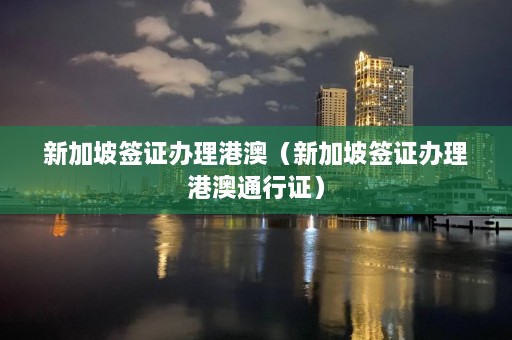 新加坡签证办理港澳（新加坡签证办理港澳通行证）  第1张