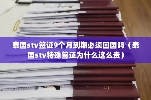 泰国stv签证9个月到期必须回国吗（泰国stv特殊签证为什么这么贵）  第1张