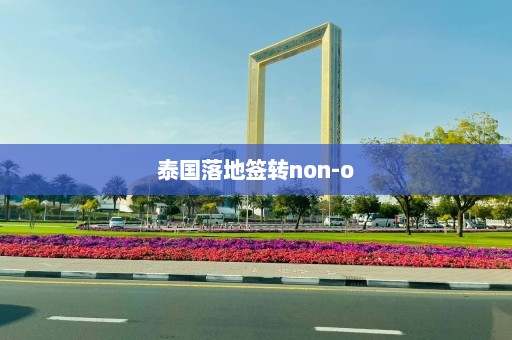 泰国落地签转non-o