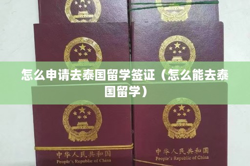 怎么申请去泰国留学签证（怎么能去泰国留学）  第1张