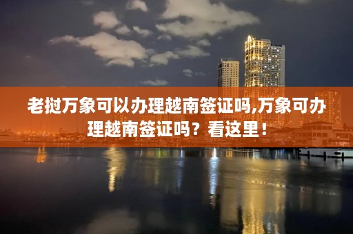 老挝万象可以办理越南签证吗,万象可办理越南签证吗？看这里！  第1张