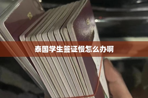 泰国学生签证慢怎么办啊