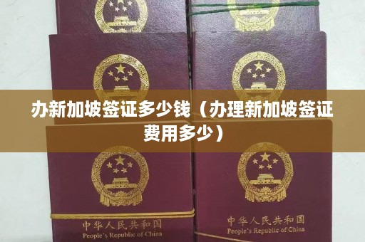 办新加坡签证多少钱（办理新加坡签证费用多少）  第1张