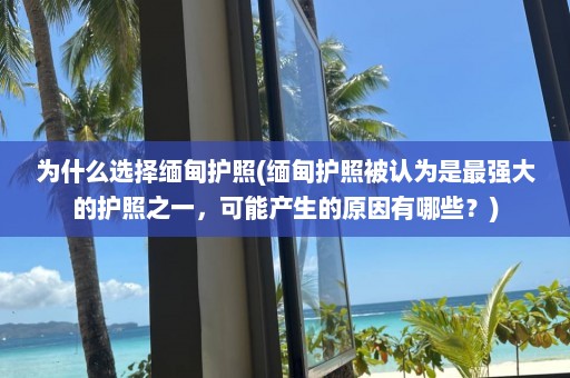 为什么选择缅甸护照(缅甸护照被认为是最强大的护照之一，可能产生的原因有哪些？)