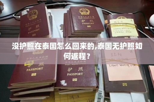 没护照在泰国怎么回来的,泰国无护照如何返程？  第1张