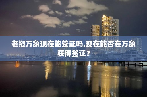 老挝万象现在能签证吗,现在能否在万象获得签证？