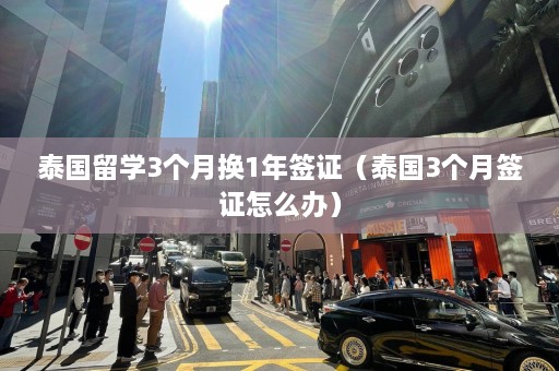 泰国留学3个月换1年签证（泰国3个月签证怎么办）  第1张