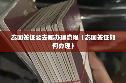 泰国签证要去哪办理流程（泰国签证如何办理）  第1张