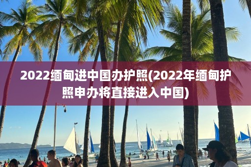 2022 *** 进中国办护照(2022年 *** 护照申办将直接进入中国)  第1张