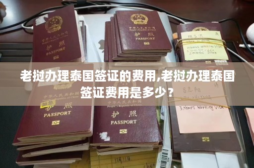 老挝办理泰国签证的费用,老挝办理泰国签证费用是多少？  第1张