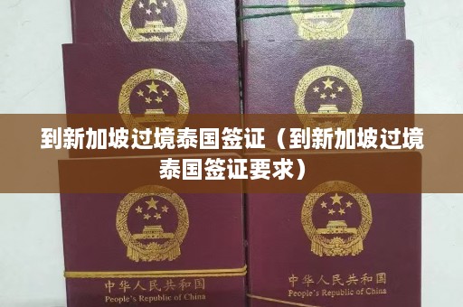 到新加坡过境泰国签证（到新加坡过境泰国签证要求）