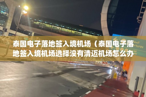 泰国电子落地签入境机场（泰国电子落地签入境机场选择没有清迈机场怎么办）  第1张