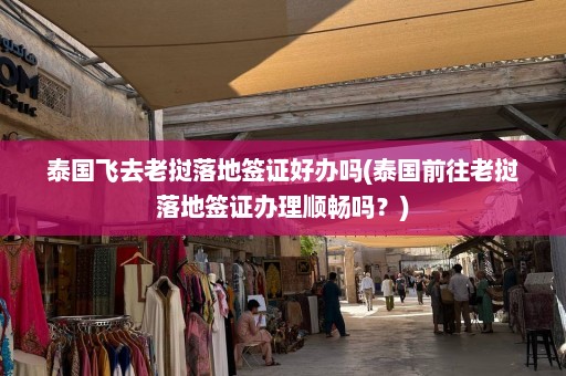 泰国飞去老挝落地签证好办吗(泰国前往老挝落地签证办理顺畅吗？)