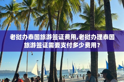 老挝办泰国旅游签证费用,老挝办理泰国旅游签证需要支付多少费用？